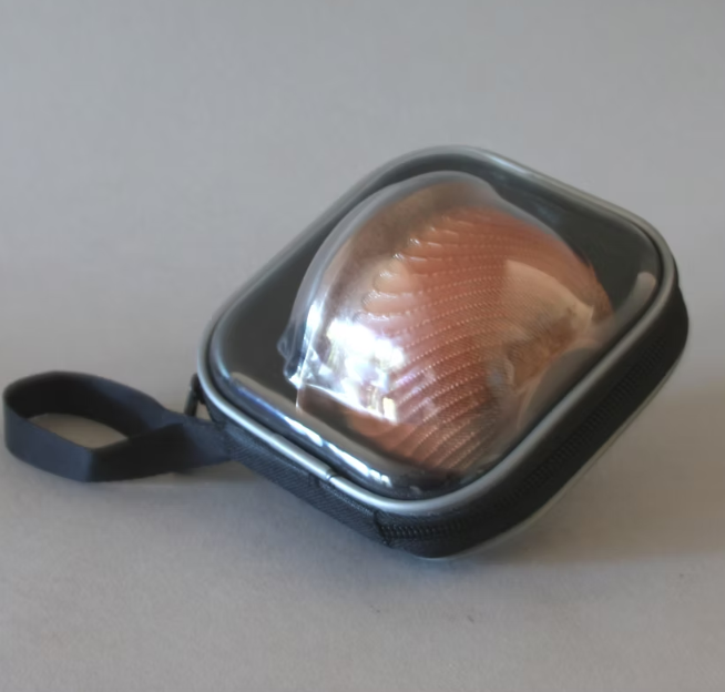 Gaiwan Travel Set - Clay Fish