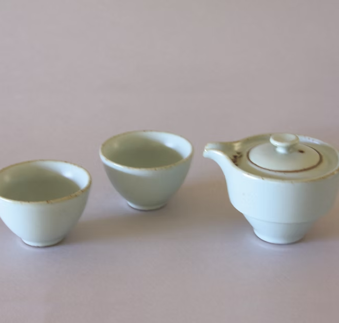 Roamer's Remedy Travel Gaiwan Set w/ Case - Light Blue