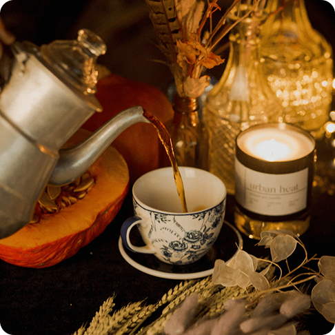 A lifetime of tea drinking begins with a single pour
