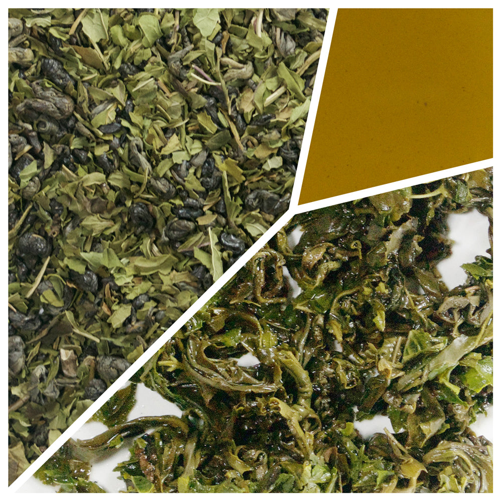 Moroccan Mint