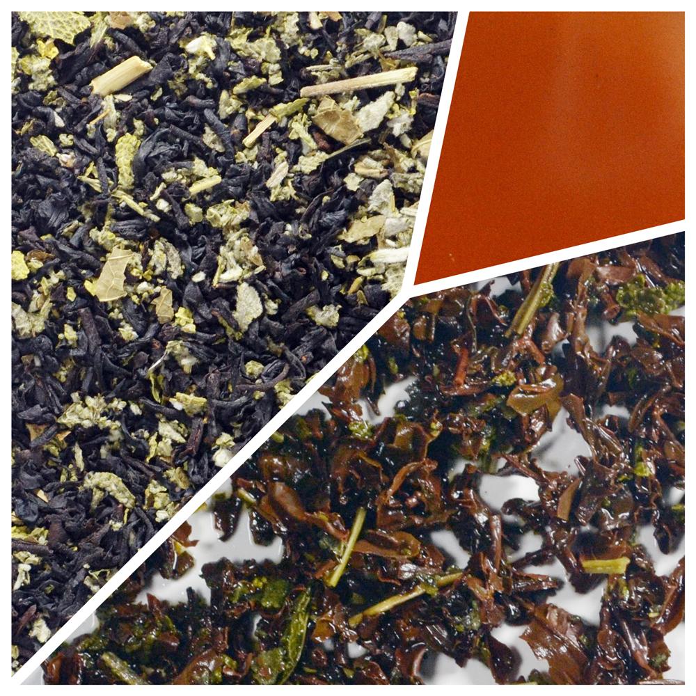 Blackberry Sage