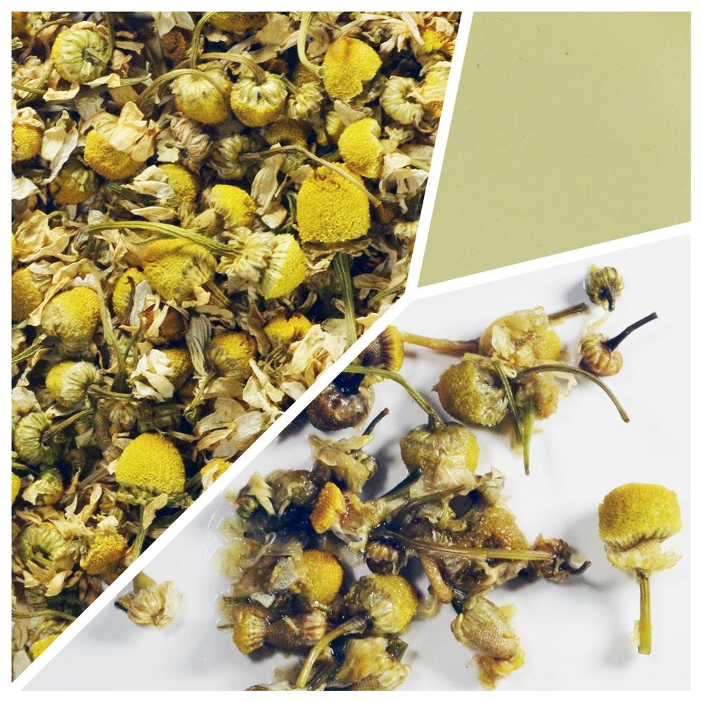 Chamomile