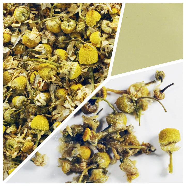 Chamomile