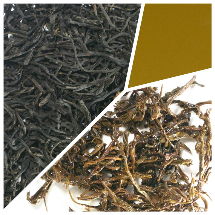 China Fujian Oolong
