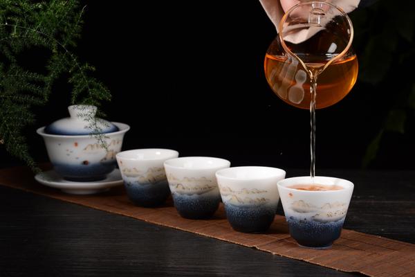 Rising Mountain Gaiwan and Cup Set