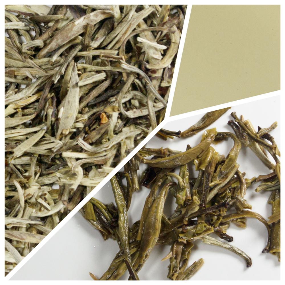 China Jasmine Silver Needle