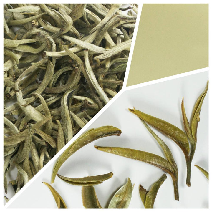 China Silver Needle "Yin Zhen"