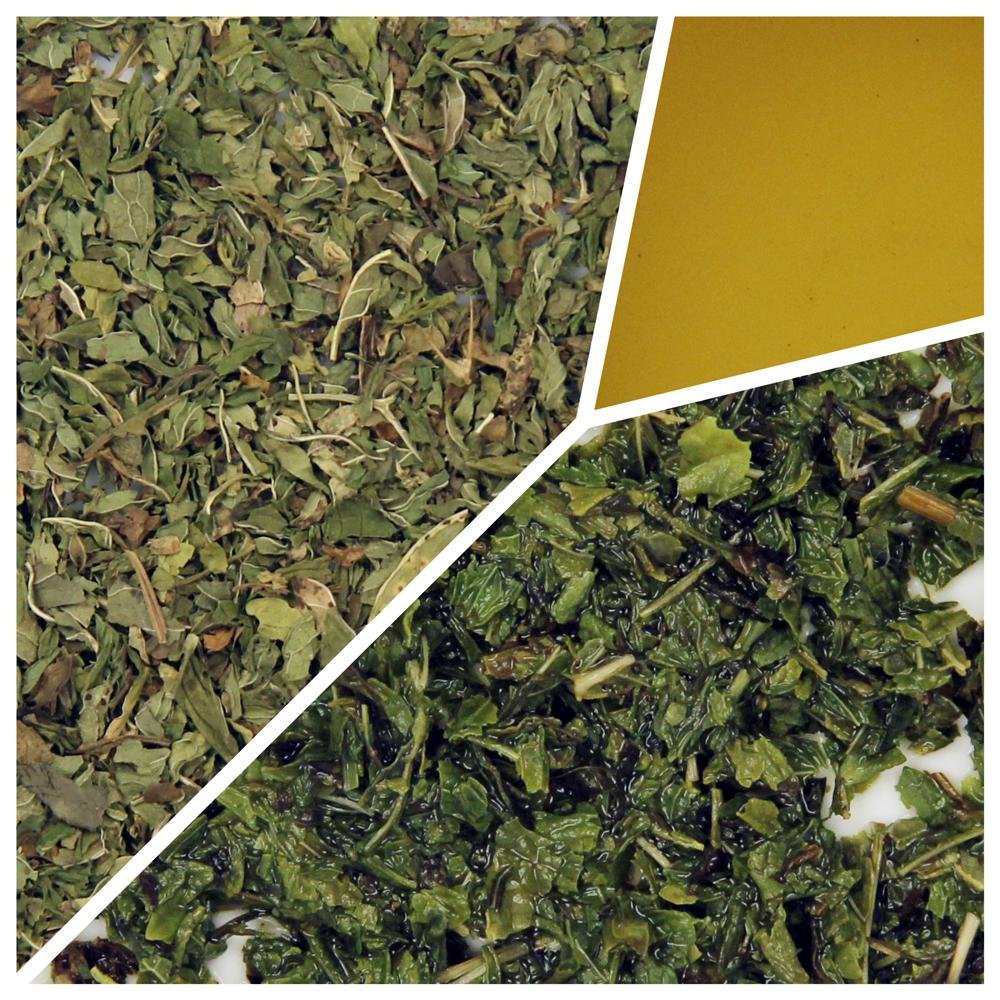 Spearmint