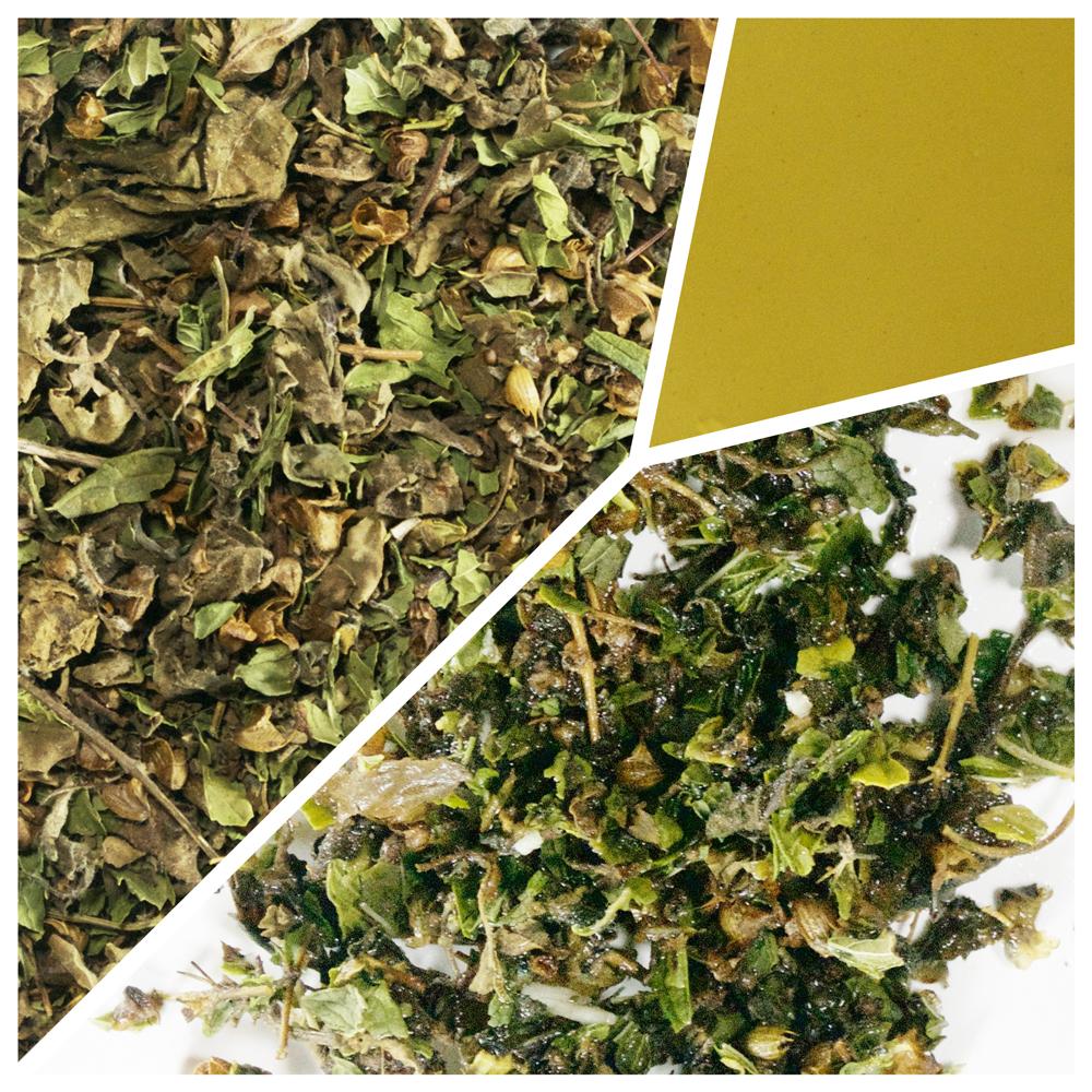 Tulsi and Mint