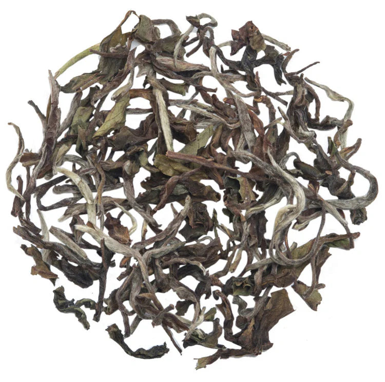 Glenburn Moonshine Darjeeling Oolong