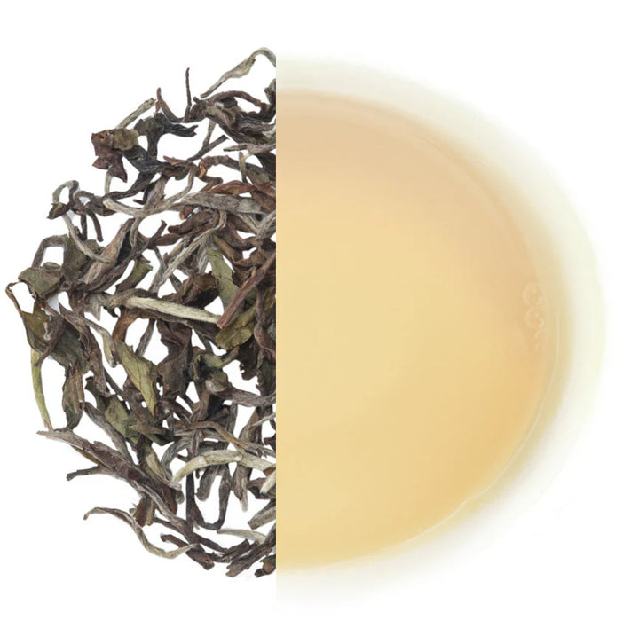 Glenburn Moonshine Darjeeling Oolong