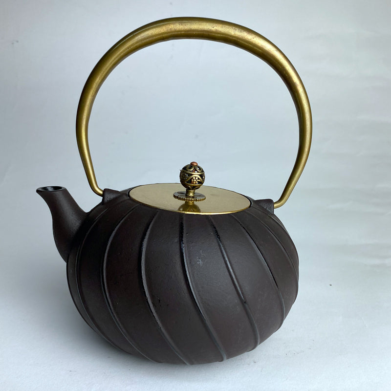 Cast Iron Teapot with Gold Lid - 48oz