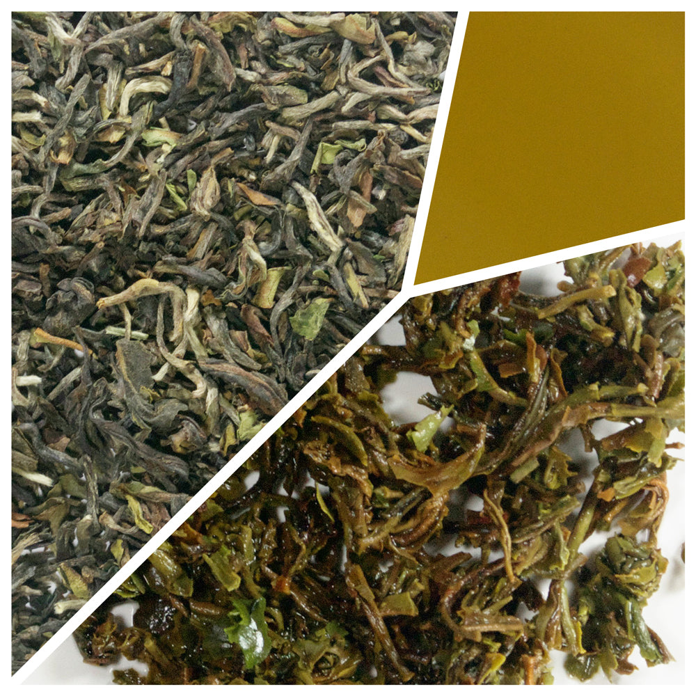 Glenburn 1st Flush Darjeeling