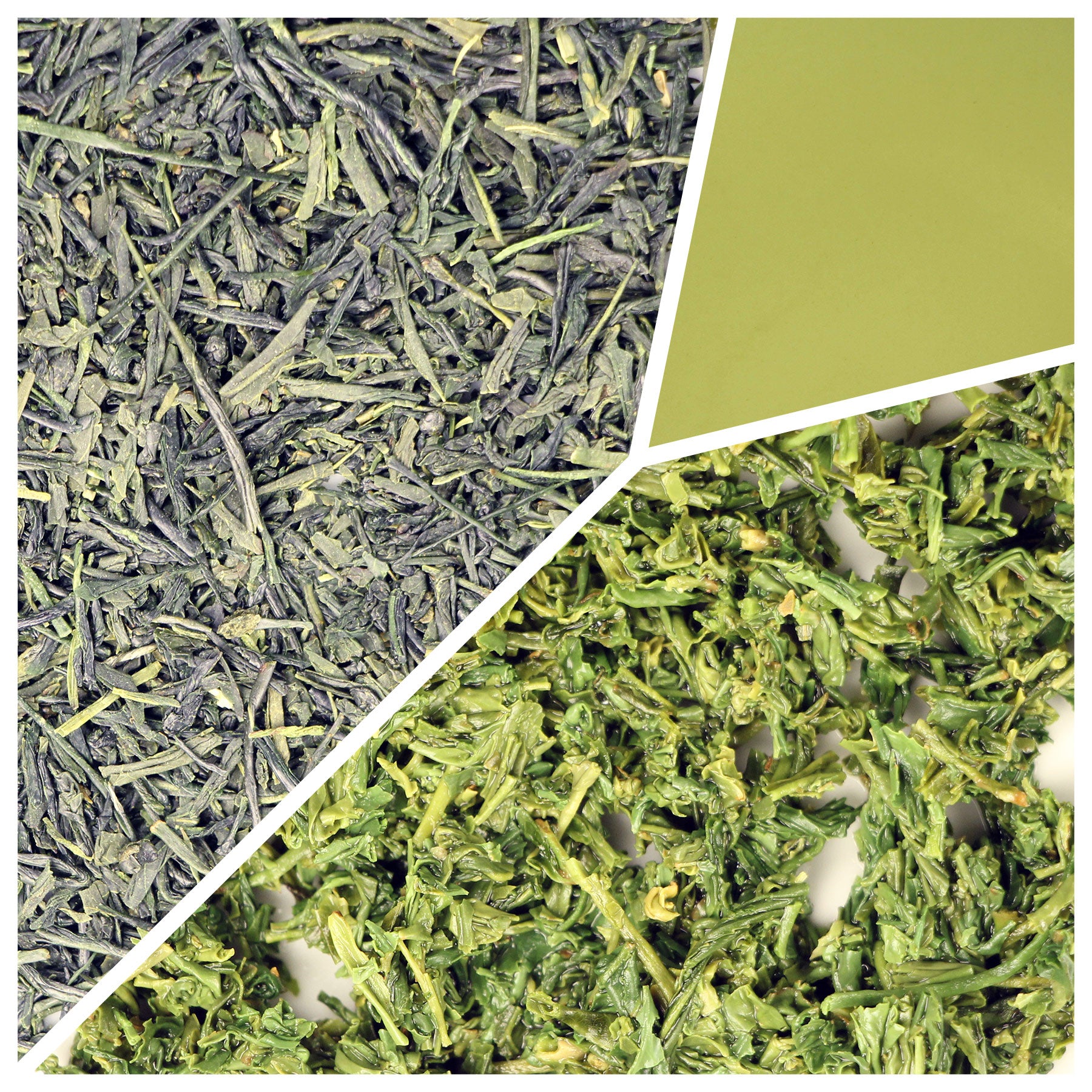 Japan Sencha Green Tea - Loose Leaf - Happy Lucky's Teahouse